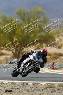 media/Apr-10-2022-SoCal Trackdays (Sun) [[f104b12566]]/Turn 5 Tree of Life (1040am)/